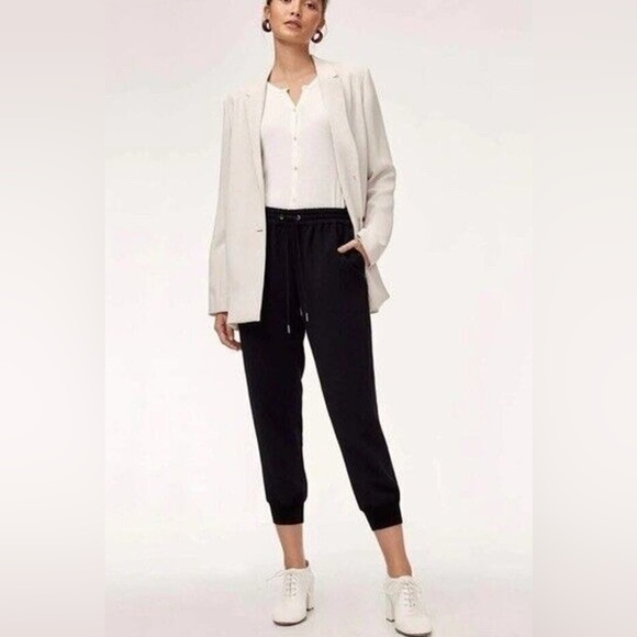 Aritzia Pants - Aritzia Wilfred Buffon High Rise Crepe Jogger Pant Size M